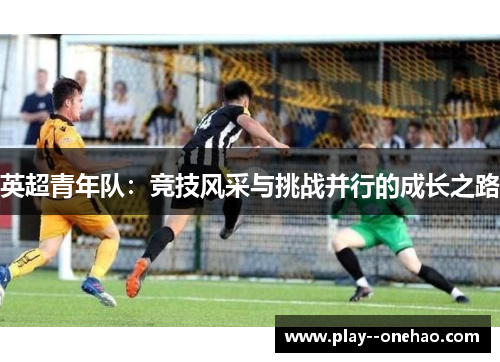 英超青年队：竞技风采与挑战并行的成长之路