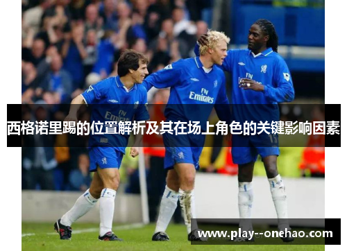 西格诺里踢的位置解析及其在场上角色的关键影响因素 西格诺里踢的位置解析及其在场上角色的关键影响因素