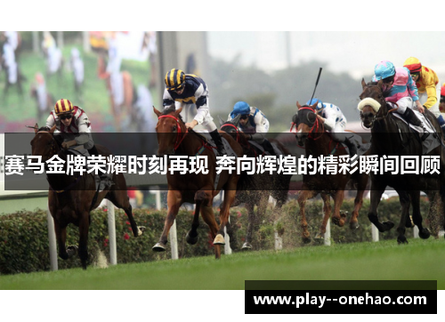 赛马金牌荣耀时刻再现 奔向辉煌的精彩瞬间回顾