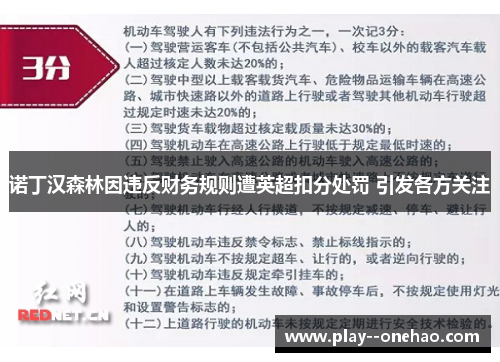 诺丁汉森林因违反财务规则遭英超扣分处罚 引发各方关注