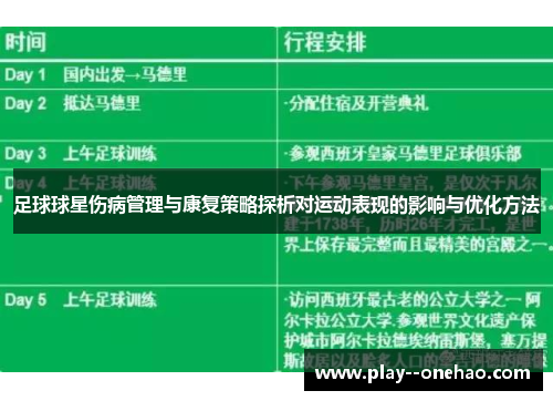 足球球星伤病管理与康复策略探析对运动表现的影响与优化方法