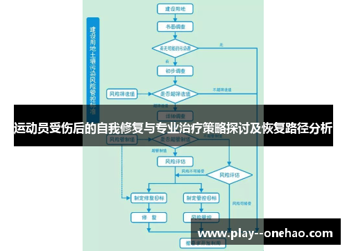 运动员受伤后的自我修复与专业治疗策略探讨及恢复路径分析