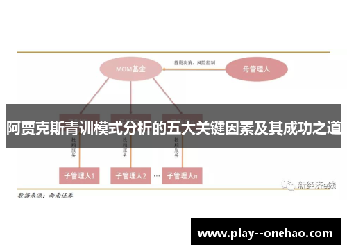 阿贾克斯青训模式分析的五大关键因素及其成功之道